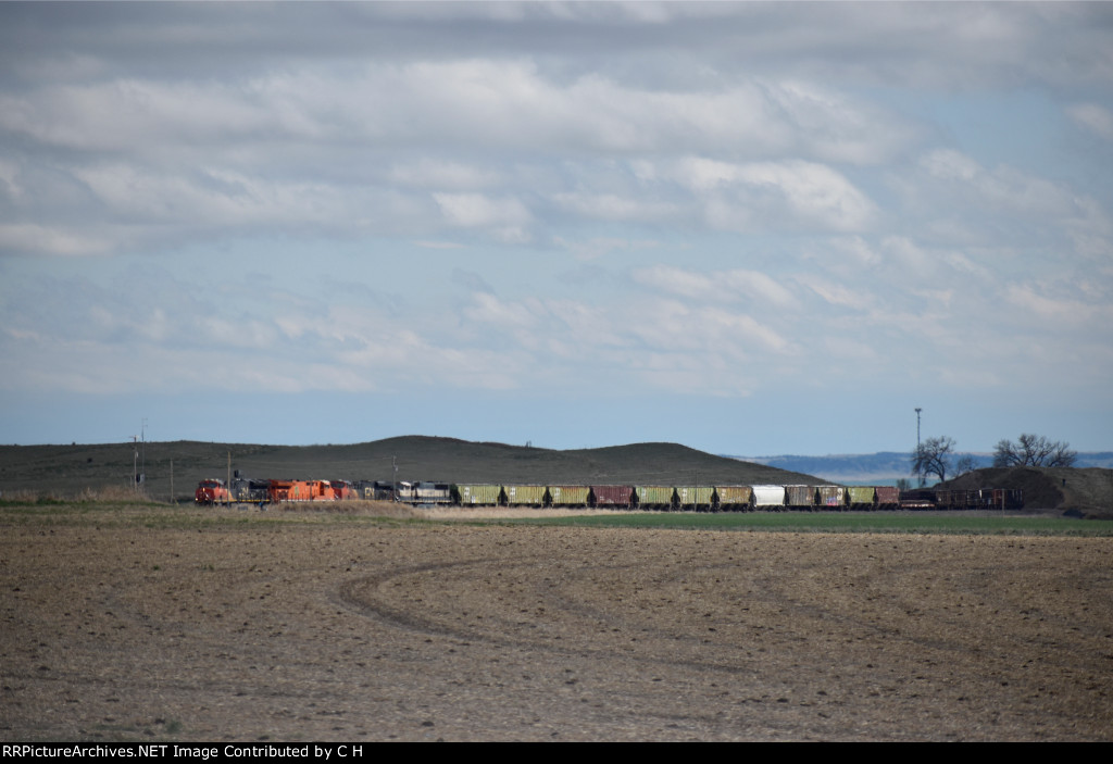 CN 3095/3023/3800/BNSF 9621